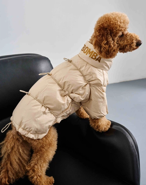 Куртка Dogsbomba з фіксаторами перлинна K-93 розмір 6 (2000000082677) - Фото 1 Куртка Dogsbomba з фіксаторами перлинна K-93 розмір 6 (2000000082677) - изображение 1