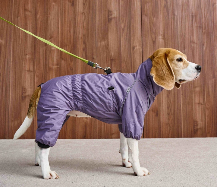 Дощовик Dogsbomba Молнія лаванда MF-42 розмір 12 (2000000106113) - Фото 1 Дощовик Dogsbomba Молнія лаванда MF-42 розмір 12 (2000000106113) - изображение 1