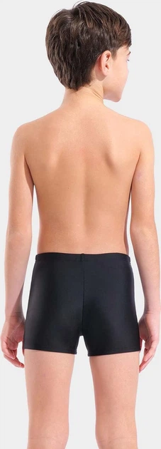 Плавки-шорты для мальчиков Arena PAINTERLY SWIM SHORT черный Дит 140 см - изображение 4