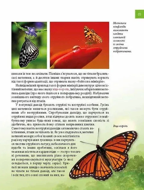 Книга Тварини - майстри маскування. Енциклопедія для допитливих. Андрій Гапченко - Фото 7 Книга Тварини - майстри маскування. Енциклопедія для допитливих. Андрій Гапченко - изображение 7