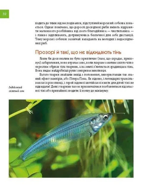 Книга Тварини - майстри маскування. Енциклопедія для допитливих. Андрій Гапченко - Фото 10 Книга Тварини - майстри маскування. Енциклопедія для допитливих. Андрій Гапченко - изображение 10