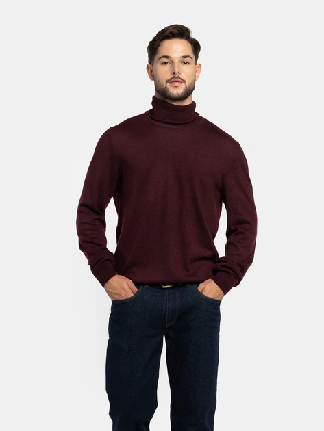 Водолазка чоловіча Arber бордова з мериносовою вовною Roll-neck FF N-AVT142 XXL зріст 5 бордовий (M10.77.18.632) - Фото 1 Водолазка чоловіча Arber бордова з мериносовою вовною Roll-neck FF N-AVT142 XXL зріст 5 бордовий (M10.77.18.632) - зображення 1