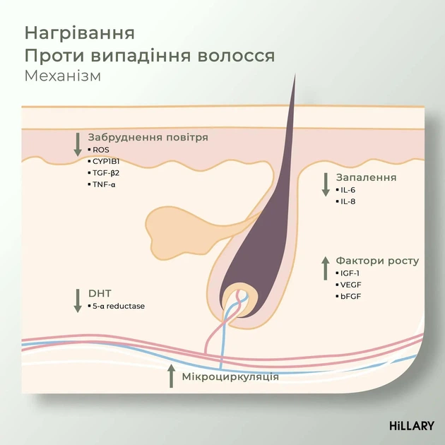 Ензимний пілінг для шкіри голови + Комплекс проти випадіння волосся Hillary Serenoa & РР Hair Loss Control: Кондиціонер + Шампунь K-11-071 - зображення 6