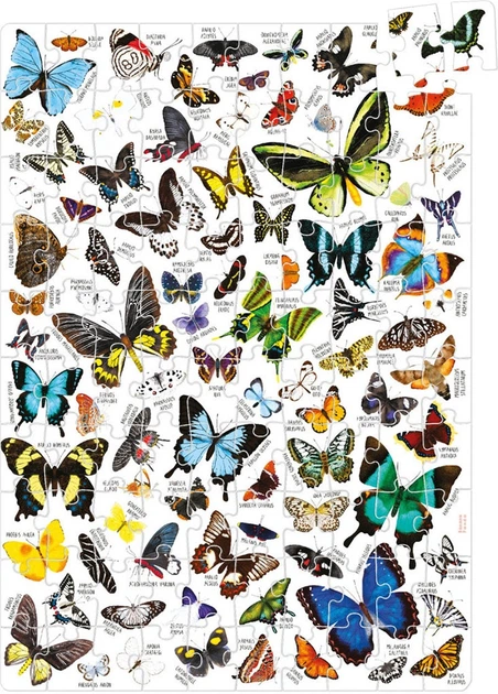 Puzzle Banana Panda Puzzlove Motyle 200 elementów (3695090) - Zdjęcie 2 Puzzle Banana Panda Puzzlove Motyle 200 elementów (3695090) - obraz 2