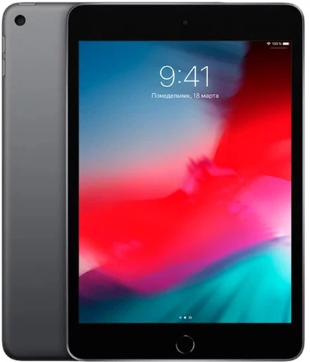 iPad mini 第5世代【Wi-Fiモデル・64GB】 iPad mini Apple Mini 第5世代 A2133 64GB Wi-Fiモデル Wi-Fi [Bランク
