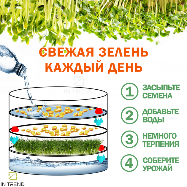 Проращиватель семян SZ BIO Natura Прозрачный спроутер - емкость для ...