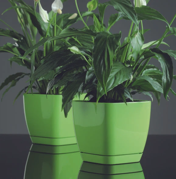 Горшок для цветов Form-Plastic Тоскана Квадро-11 1 л серый (0730-059) - Фото 4 Горшок для цветов Form-Plastic Тоскана Квадро-11 1 л серый (0730-059) - изображение 4