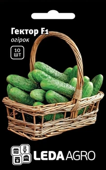 Гектор F1 Огірок бджолозапильний Насіння Leda Agro 10 шт