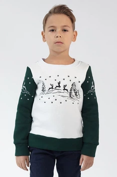 Різдвяний світшот для хлопчика Олені Green 116 UKRS-6614Х UkrGlamour