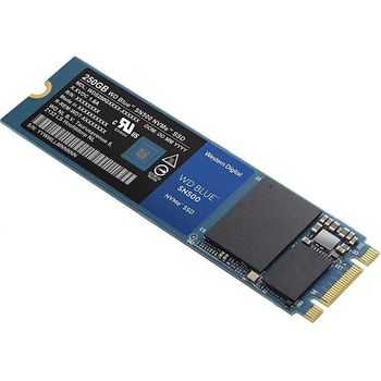 WD Blue SN500 WDS250G1B0C (WDS250G1B0C)