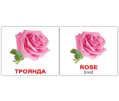 Карточки мини украинско-английские Квіти/Flowers 20 карт 276324