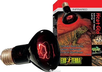 Інфрачервона лампа Hagen Heat Glo R20/75 Вт (015561221429)