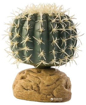 Растение Hagen Barrel Cactus Small (015561229807)
