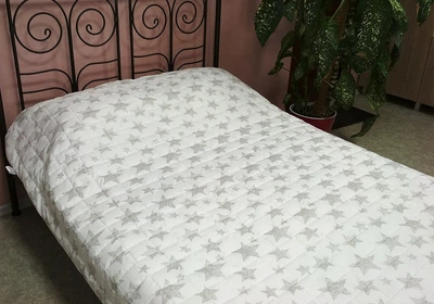 Покрывало Leleka-Textile микрофибра 172х205 (М13)