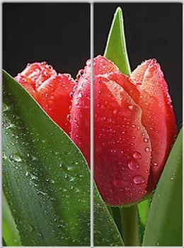 Шкаф купе Luxe Studio Стандарт-1 Фотопечать Природа-7 1600x2300x450 двухдверный (16567)