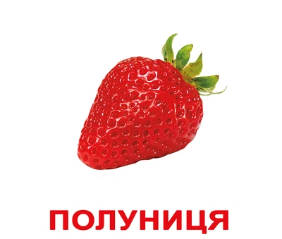 Карточки большие украинские с фактами, ламинир. «Ягоди» 20к 094217
