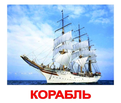 Карточки большие русские с фактами, ламинированные Транспорт 092558