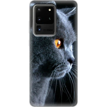 Силиконовый чехол BoxFace Samsung G988 Galaxy S20 Ultra English cat (38878-up1346)