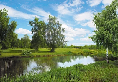 Фотообои Величие природы №11 плотная бумага Ника 278x196 см