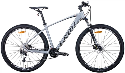 Велосипед найнер горный (спортивный) алюминиевый 29" Leon TN-70 2020 рама 17.5" серый на рост 160-180 см (OPS-LN-29-078)