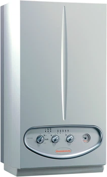 Котел газовий IMMERGAS Nike Mini 28 KW Special