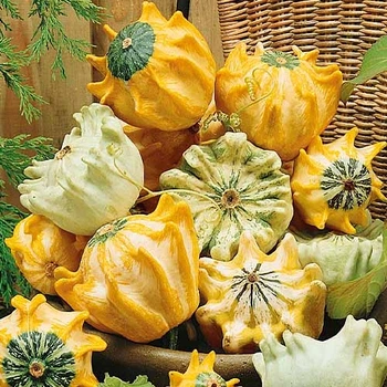Семена Тыква декоративная Корона Florium (722005)