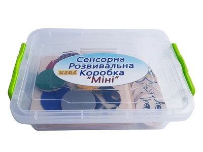 Сенсорна розвивальна коробка Міні (249)