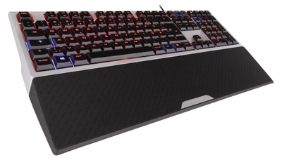 Клавиатура CHERRY MX-Board 6.0 Red Switch DE Grey (G80-3930LYBDE-2/00) Refurbished