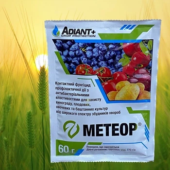 Фунгицид Метеор Adiant+ Чемпион 60 г