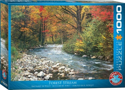 Puzzle Eurographics Leśny strumyk 1000 elementów 6000-2132 (628136621328)