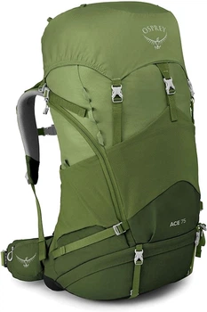 Рюкзак Osprey Ace 75 Venture Green (009.2130)