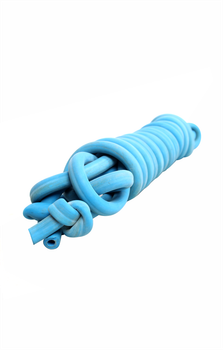 Борцовский жгут WR Wrestling Accessories 16 мм Синий 5 м в чехле (В-004)