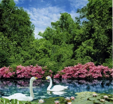 Фотообои Дуэт бумага ArtDecor 201x194 см