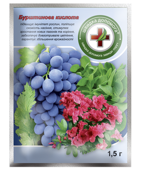 Бурштинова кислота 5 г, Киссон