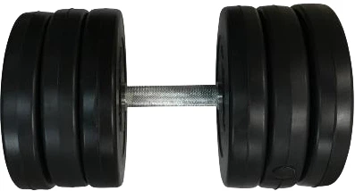 Гантель наборная Newt Rock Pro-R композитная в пластиковой оболочке 16.5 кг (NE-PL-R-016)