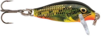 Воблер Rapala CountDown CD01 FMN 25 мм 2.7 г (CD01 FMN)