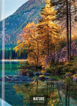 Блокнот Optima Nature of Ukraine Озеро А4 в клетку 96 листов (O20378-11)