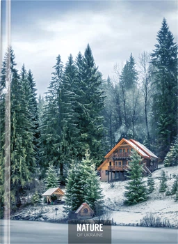 Блокнот Optima Nature of Ukraine Зима А4 в клетку 96 листов (O20378-12)