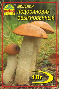 Міцелій грибів Підосичник 10 г (Насіння країни)