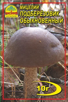 Мицелий грибов Подберёзовик 10 г (Насіння країни)