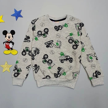 Утепленный свитшот Hacali kids для мальчика 122-128 см Серый 18651