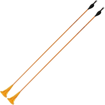 Стрелы для Лука GEOLOGIC из Стекловолокна 27" (68 см) на Присоске Оранжевые 2шт
