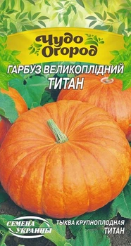 Семена Тыква Титан, 2 г (Семена Украины)
