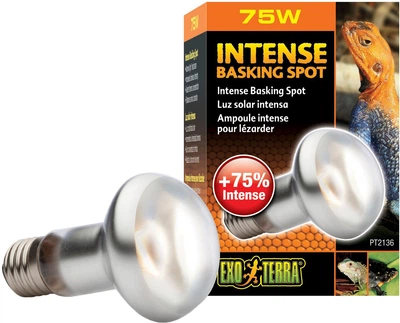 Рефлекторна лампа розжарювання Exo Terra «Intense Basking Spot» для нагрівання 75 Вт, E27 (015561221368)