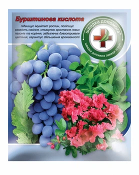 Бурштинова кислота 5 г