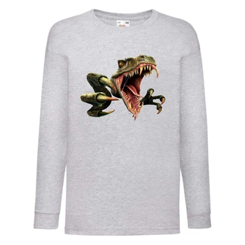 Лонгслив реглан Парк Юрского Периода 0011 (Jurassic Park) серый (JPK gry 0011) 116 см