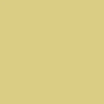 Фотофон yellow perch cmyk(0%, 4%, 49%, 12%) 50х50 см FineColor #358 однотонный виниловый для предметной и студийной съемки