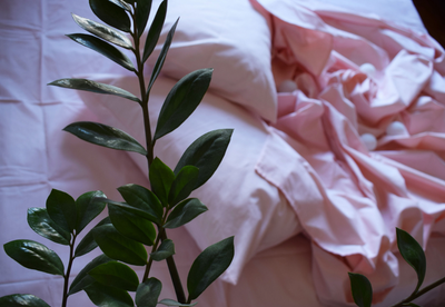 Однотонное пастельно розовое постельное белье MDreams 2-спальное 200х220