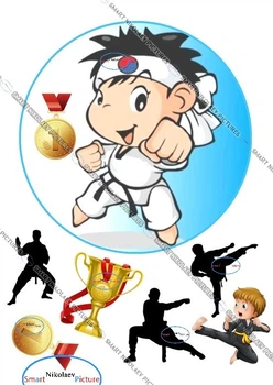 Сахарна їстівна картинка Taekwondo, силует, боротьба, Ø18см, вис. 6см для хлопчика на торт і топпери 10,11,12,13,14,15 років (SNP - 00110)