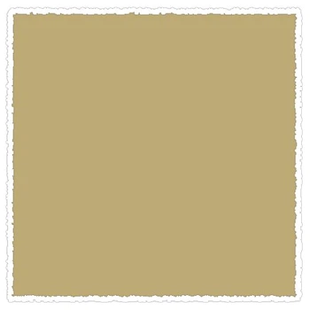 Краска аэрозоль Maxi Color эмаль 400мл Бежевая 1001